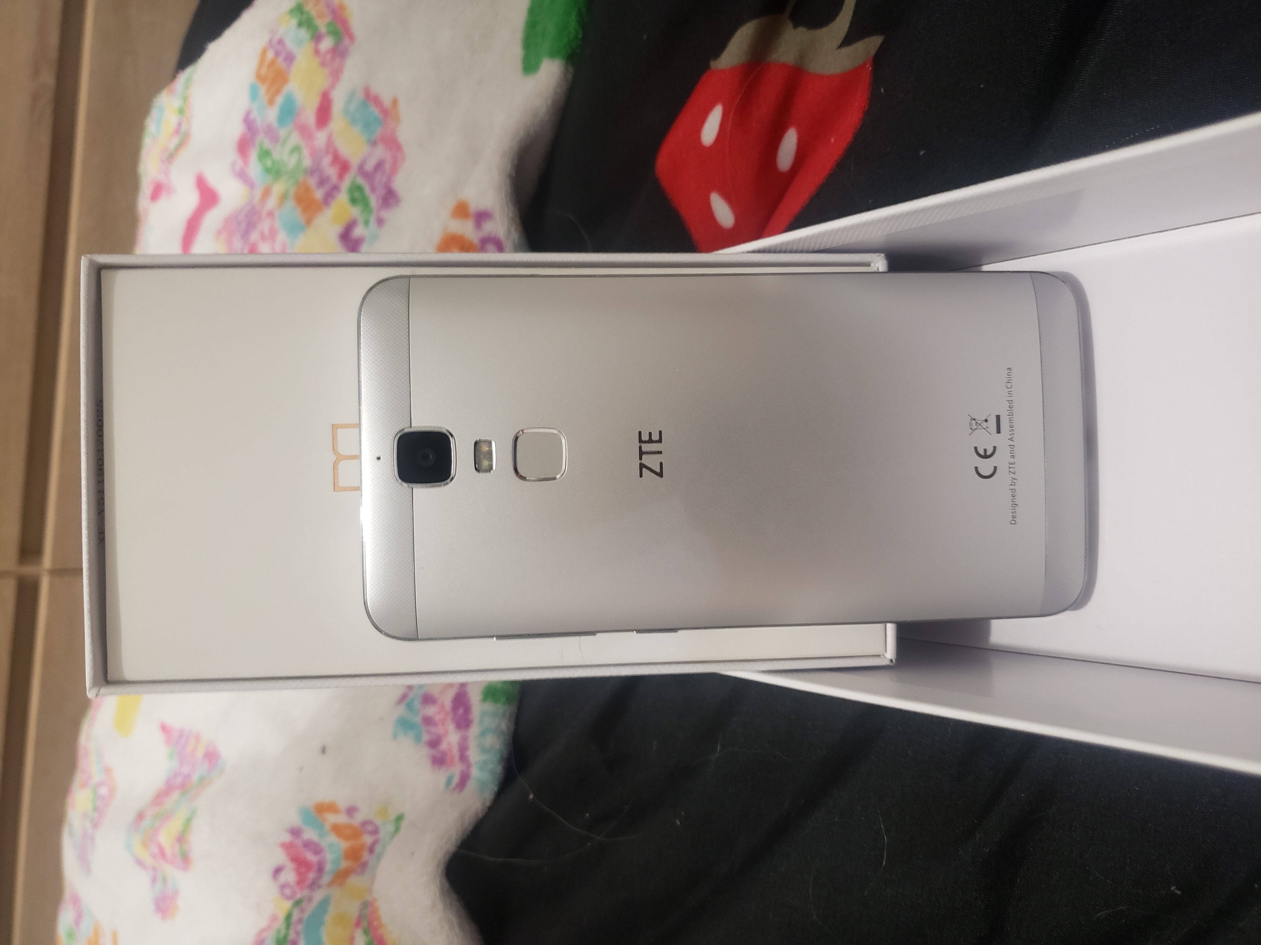 T�l�phone ZTE 100 Donneville (31)