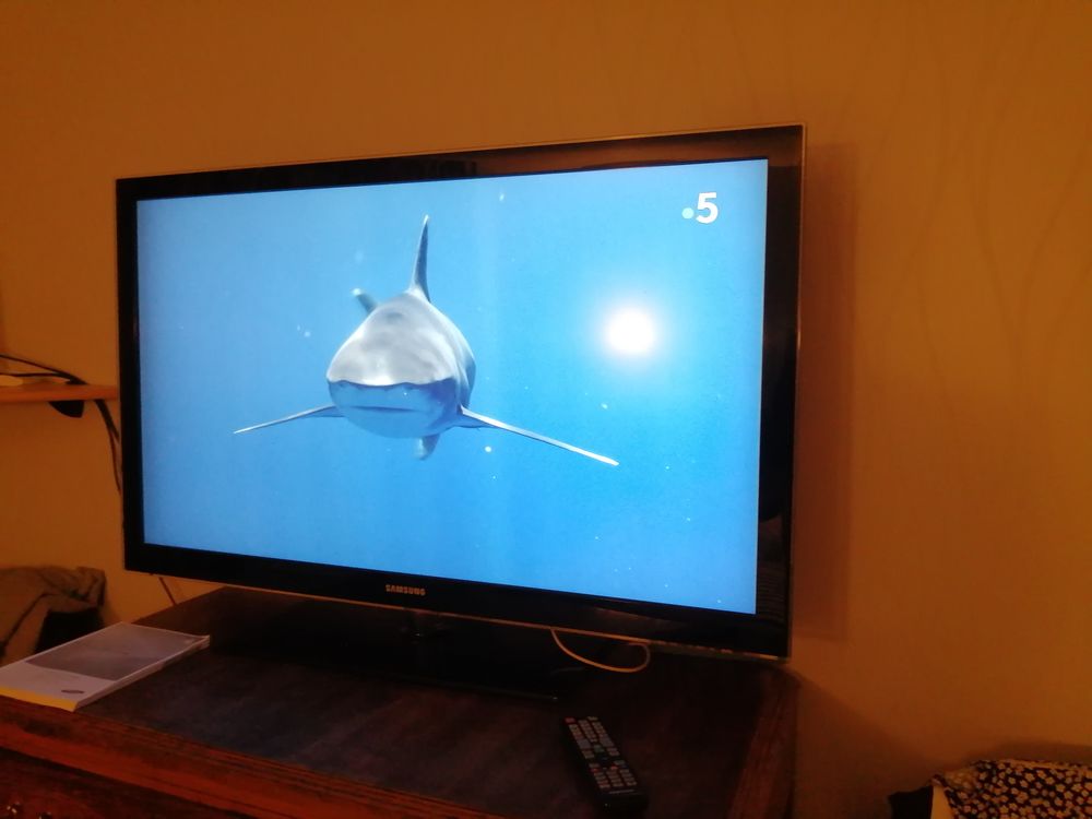 TELEVISEUR SAMSUNG LCD 46  117cm TNT 270 Albefeuille-Lagarde (82)