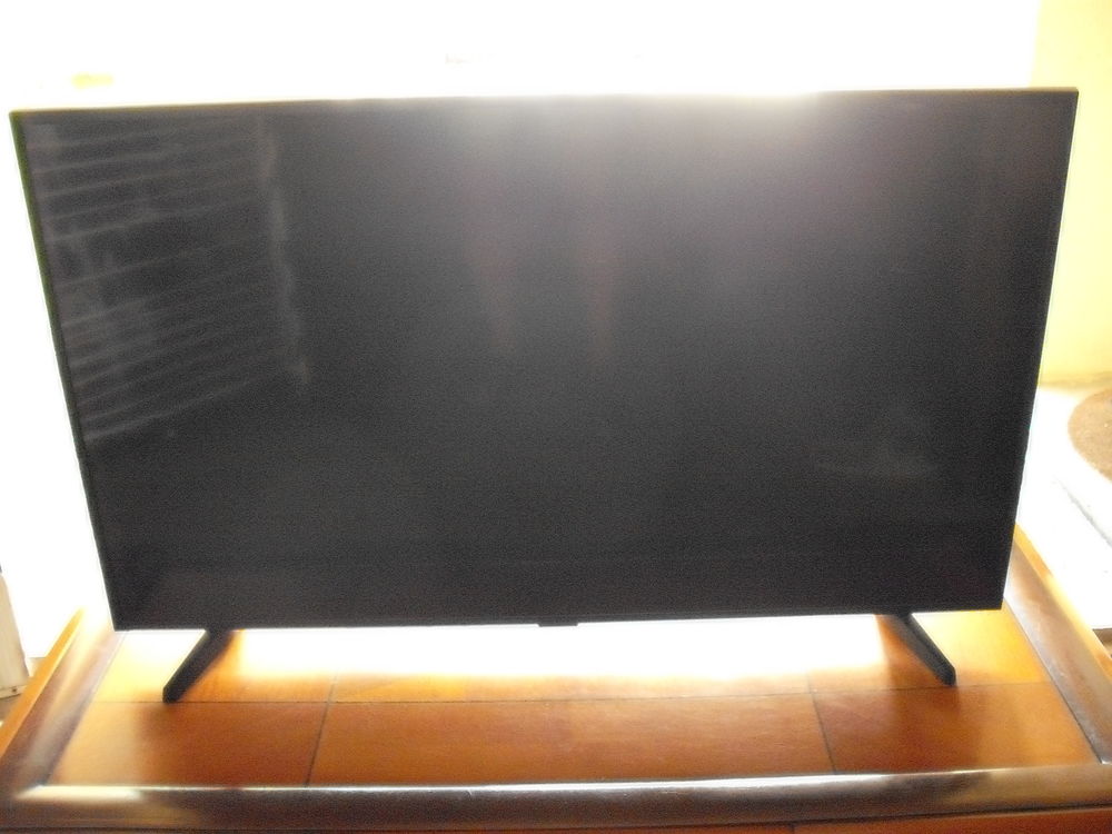 TELEVISEUR SAMSUNG 120 La Ferri�re (85)