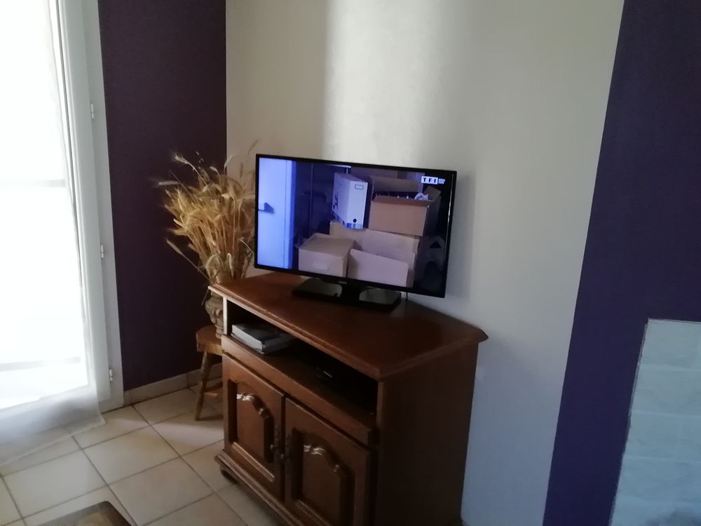 T�l�viseur 115 Savigneux (42)