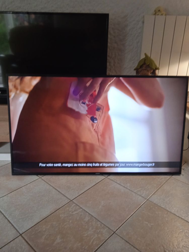 t�l�viseur 300 Beychac-et-Caillau (33)