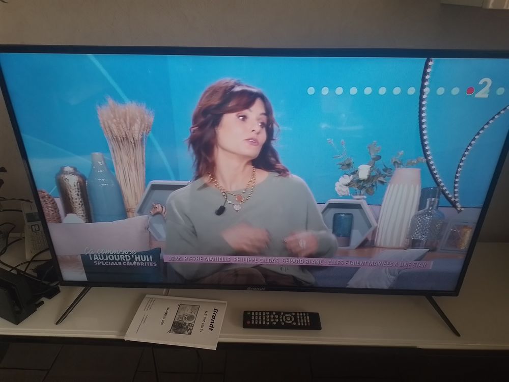 T�l�vision brandt 108cm tr�s bon �tat 100 Pithiviers-le-Vieil (45)