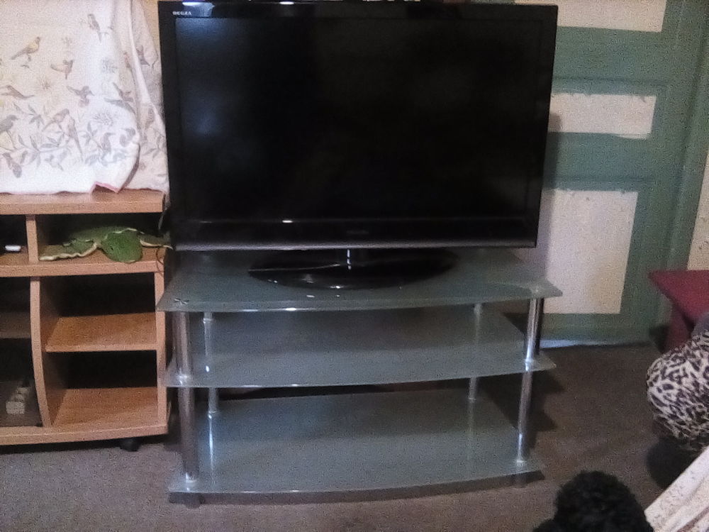 T�l�vision Toshiba avec meuble 130 Varetz (19)