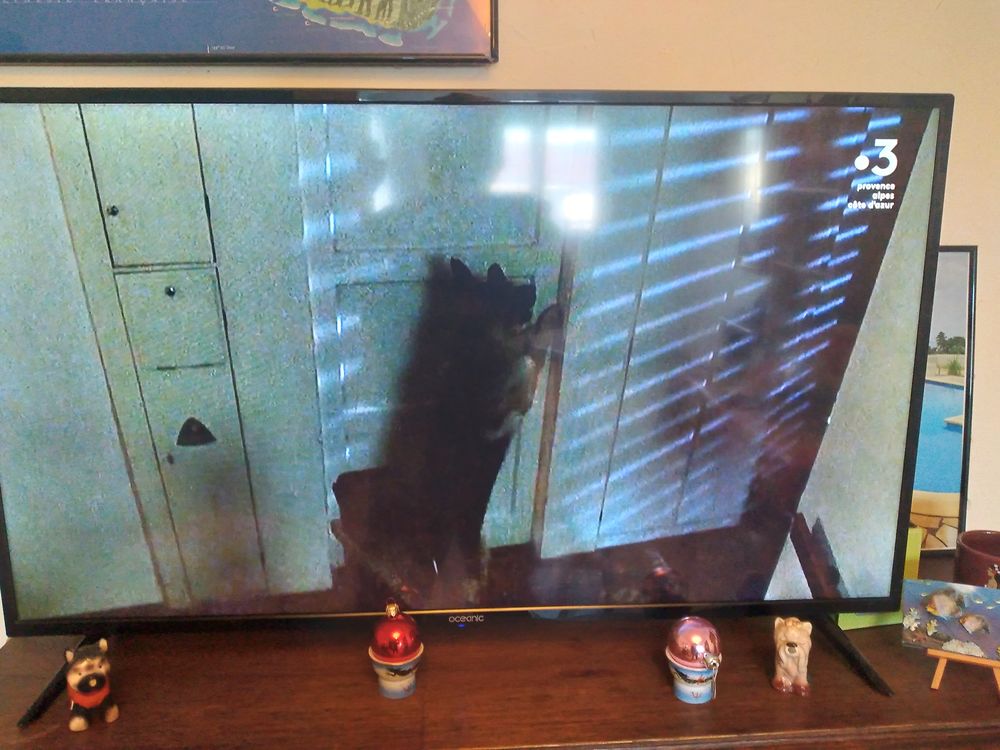 T�l�vision 100 Marseille 10 (13)