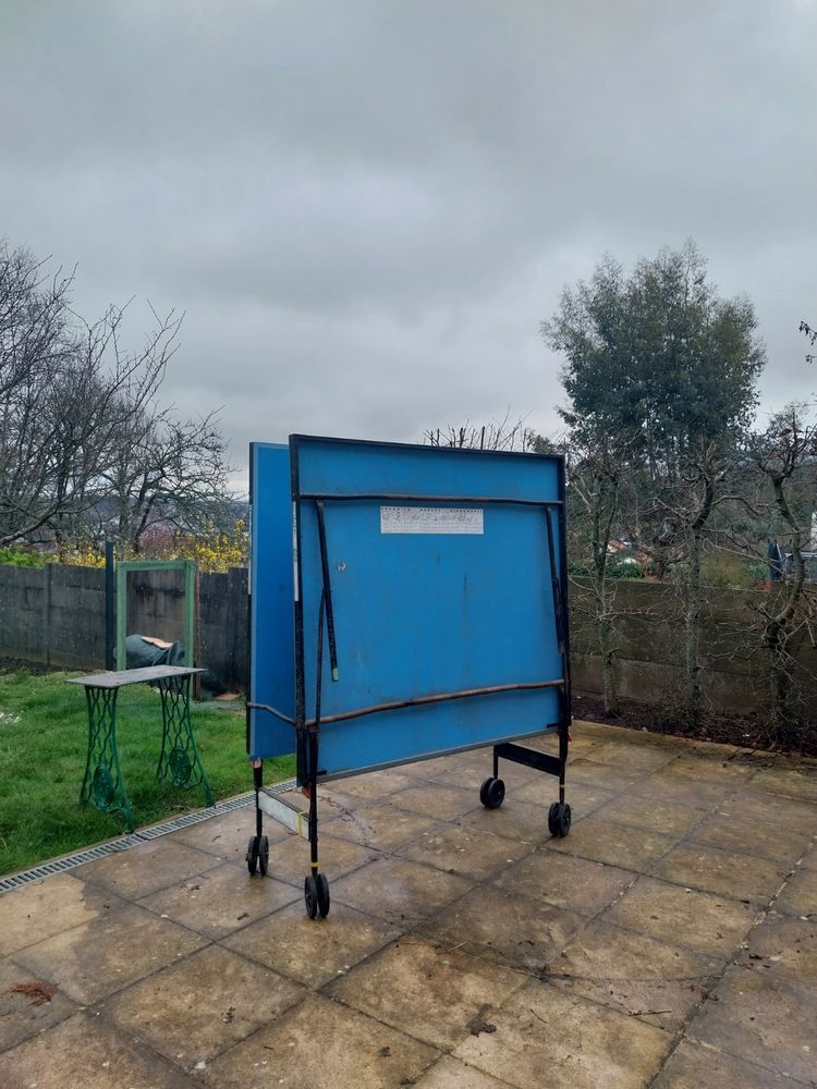 tennis de table 100 Palaiseau (91)