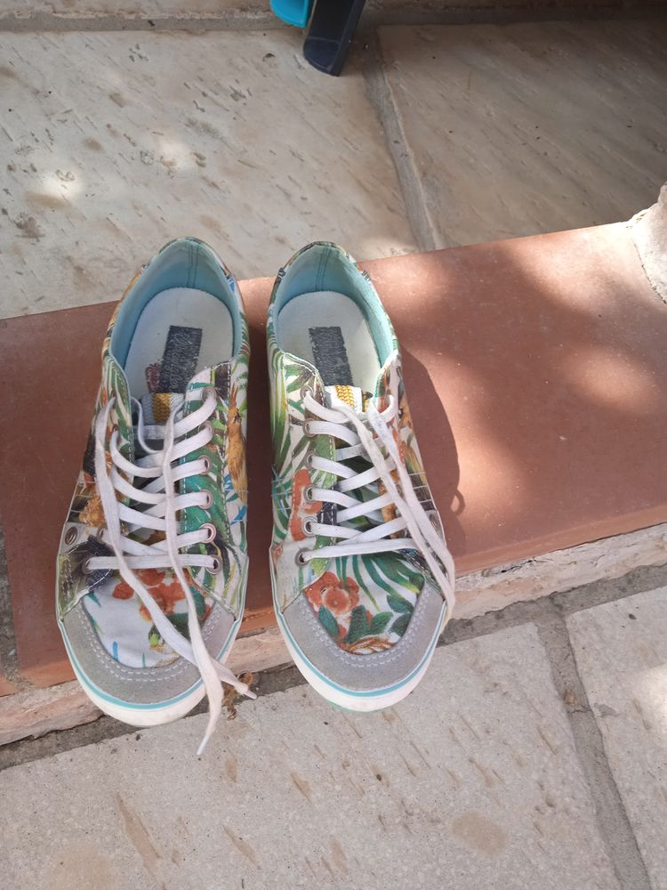 TENNIS WRANGLER 8 N�fiach (66)