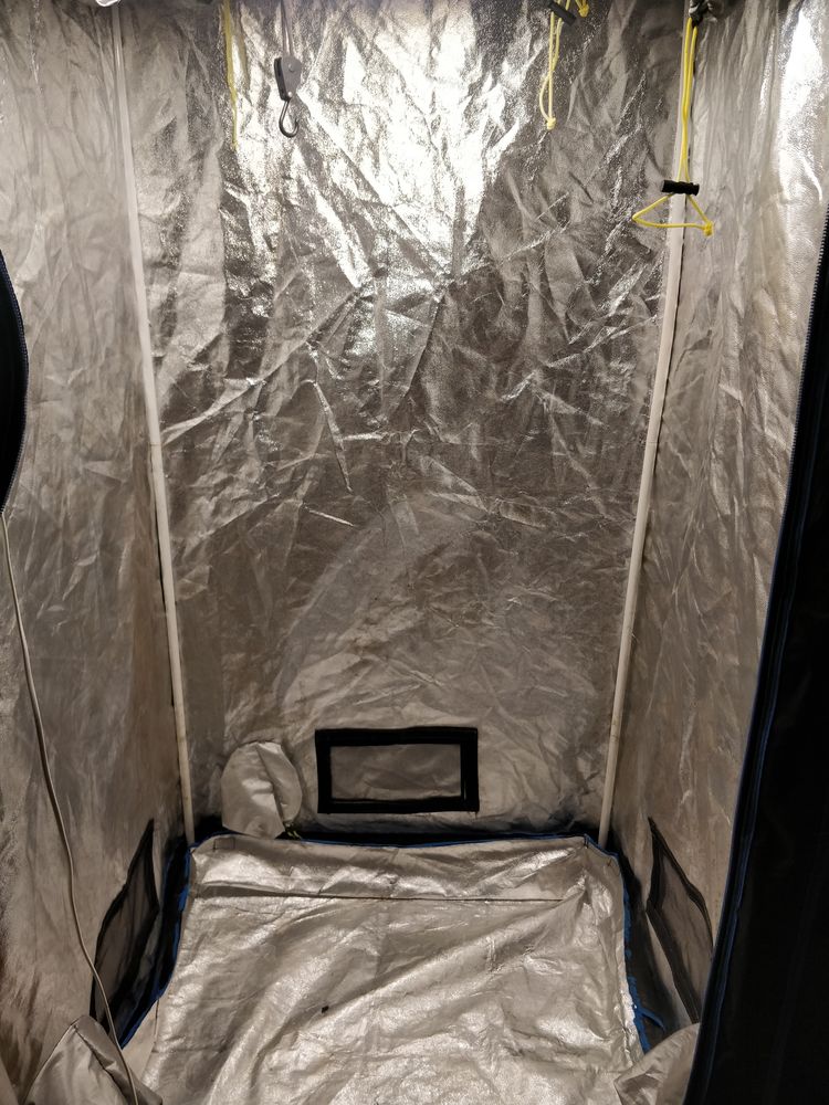 Tente culture indoor 60 Choisy-le-Roi (94)