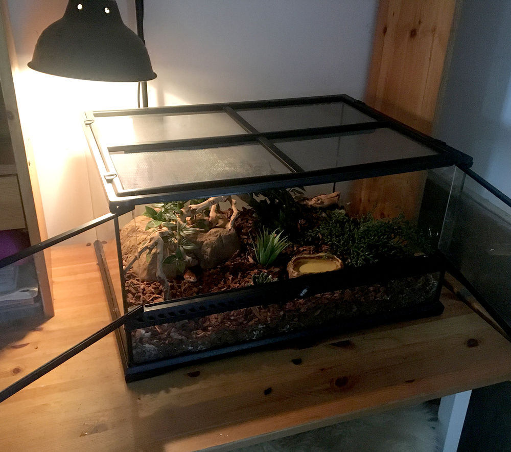 Terrarium �quip� pour serpents des bl�s 200 Luynes (13)