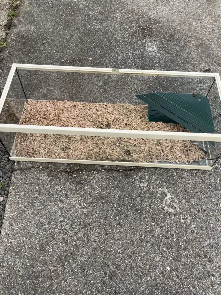 terrarium tortues 100 Yerville (76)