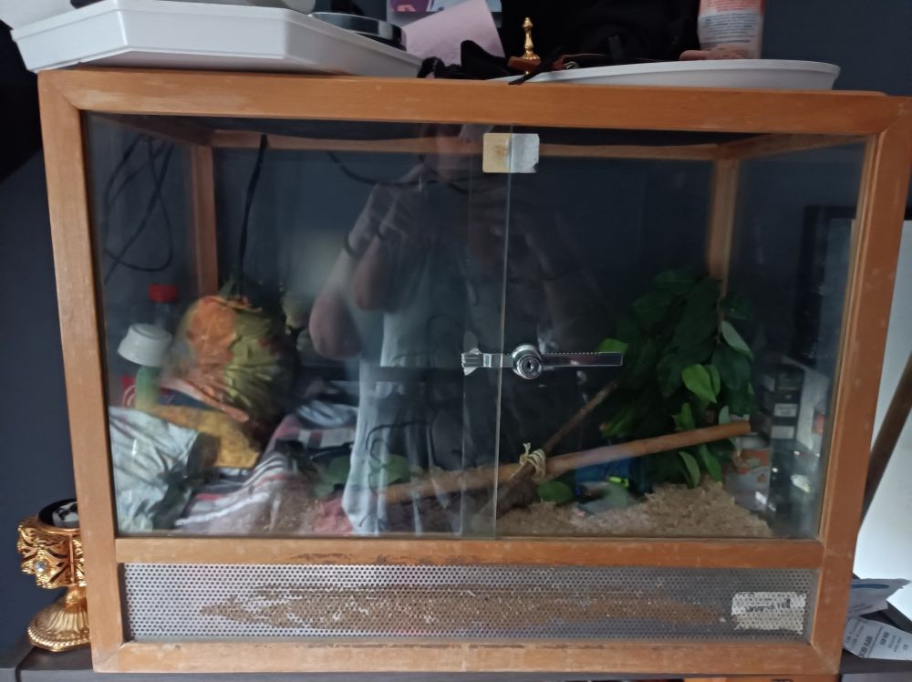 terrarium 80 Puteaux (92)