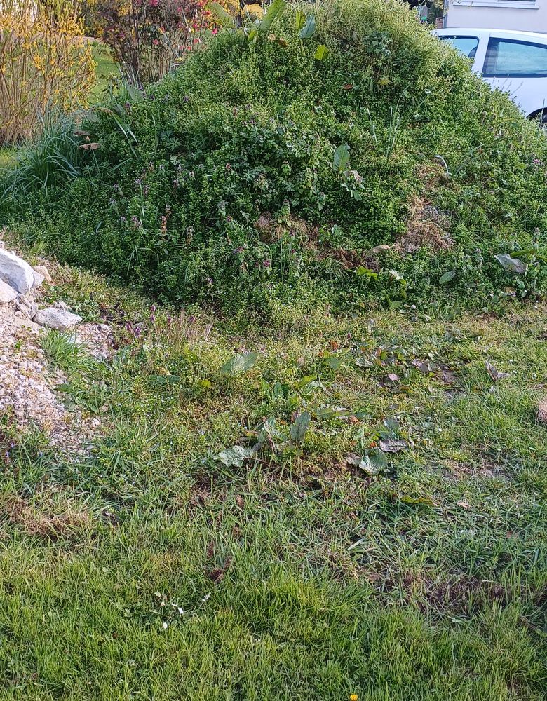 Terre vegetale 0 Saint-Martin-en-Bresse (71)