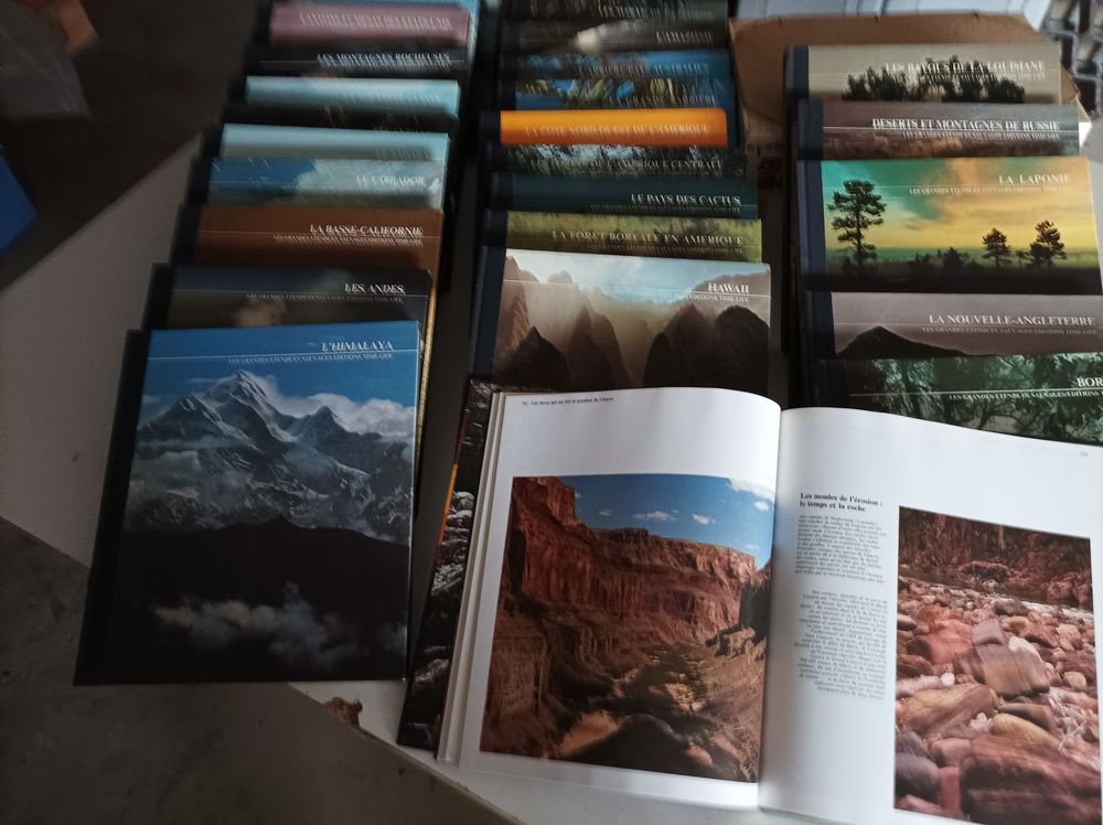 terres sauvages 19 Amiens (80)