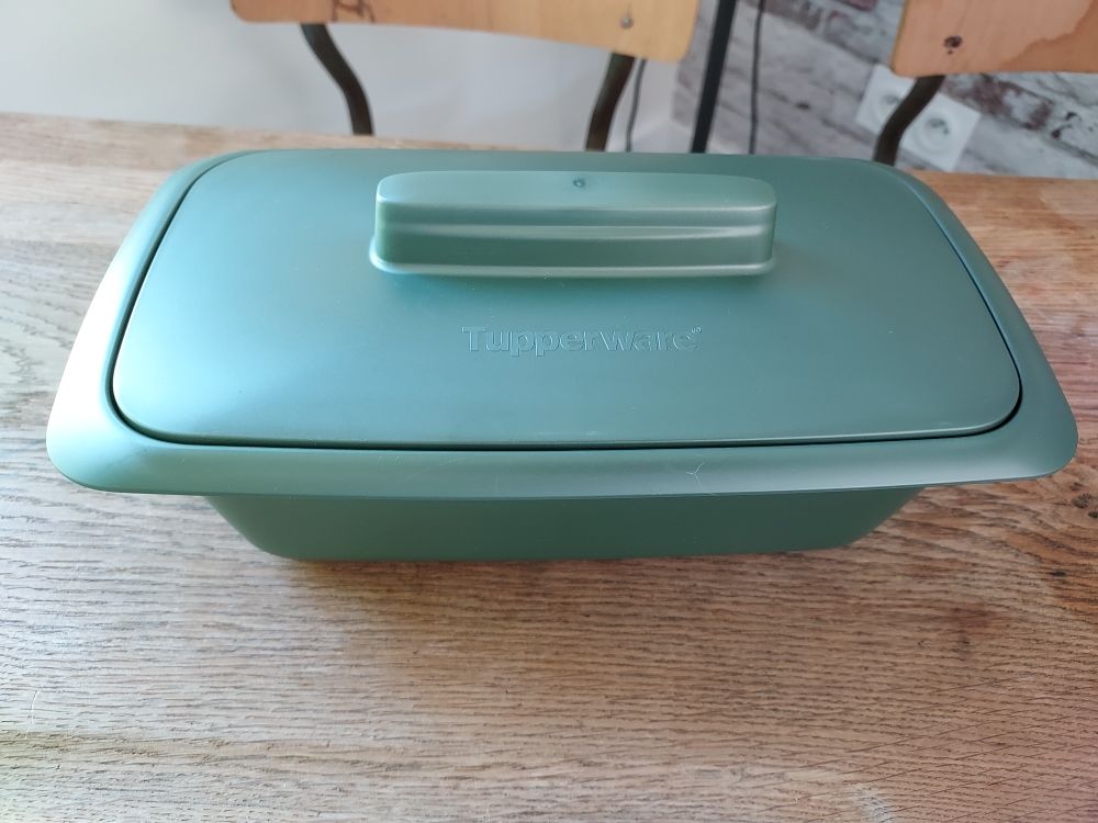 Achetez terrine ultra pro occasion, annonce vente à Bertrimont (76