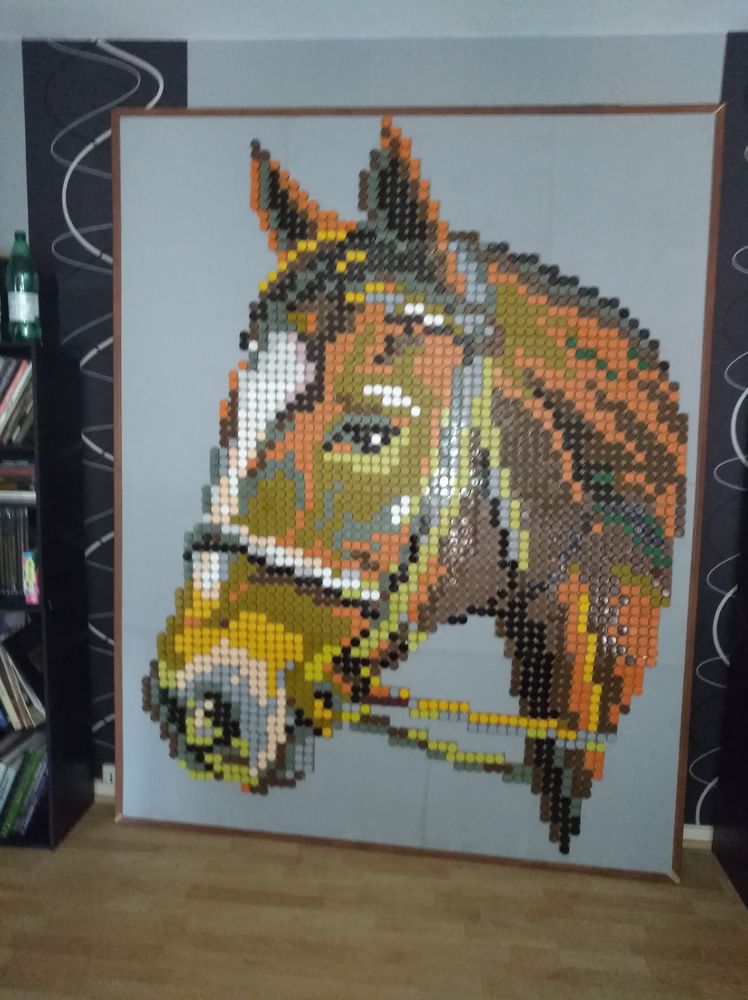 T�te de cheval 0 �pinal (88)