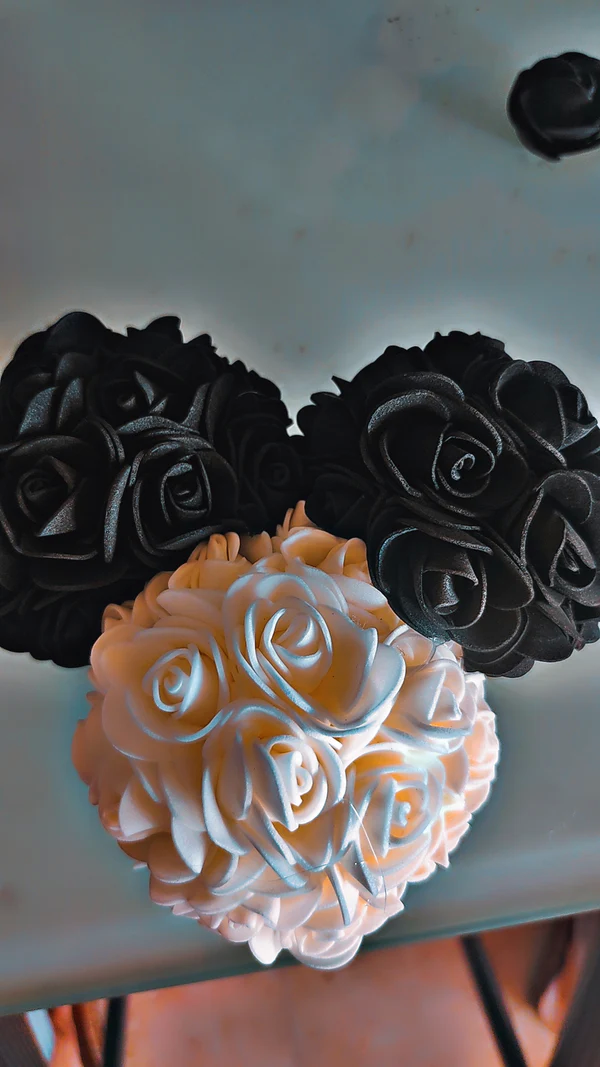 TETE DE MICKEY 10 Aubagne (13)