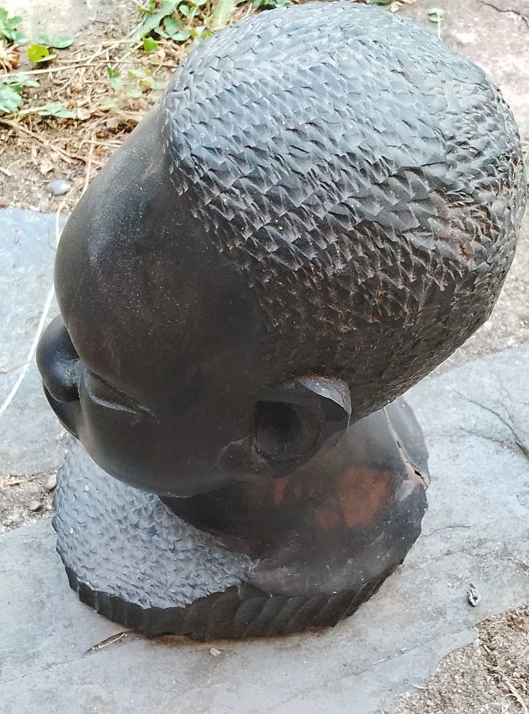 T�te de negre bois �b�ne 60 Port-de-Lanne (40)