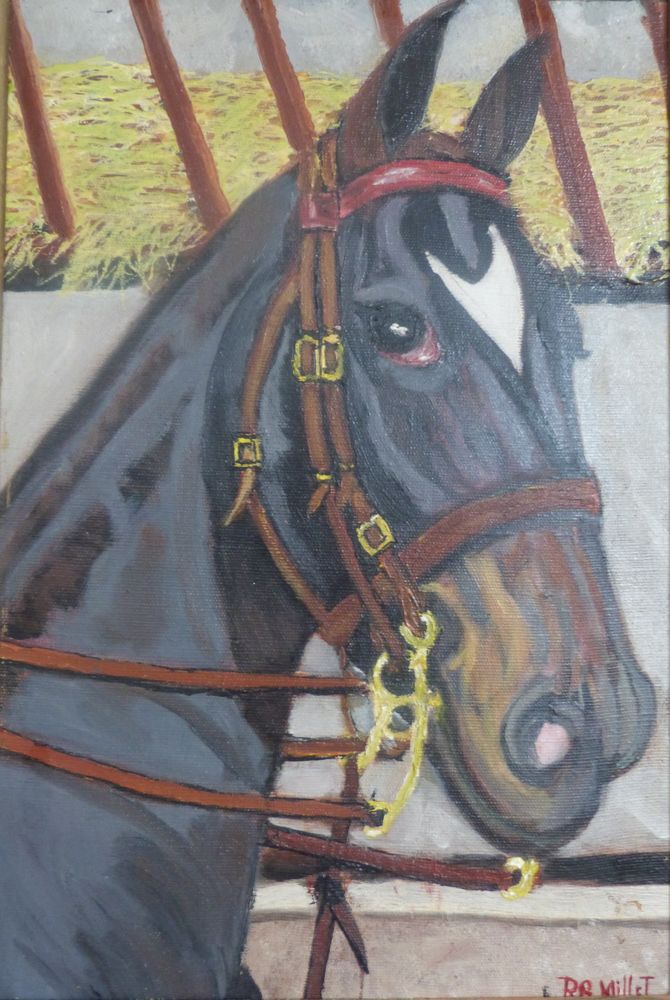 T�te de la Super championne Gelinotte
2400 Vichy (03)