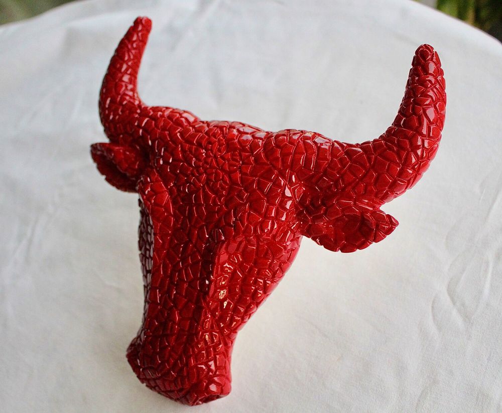   T�TE  DE  TORO    32 Anglet (64)