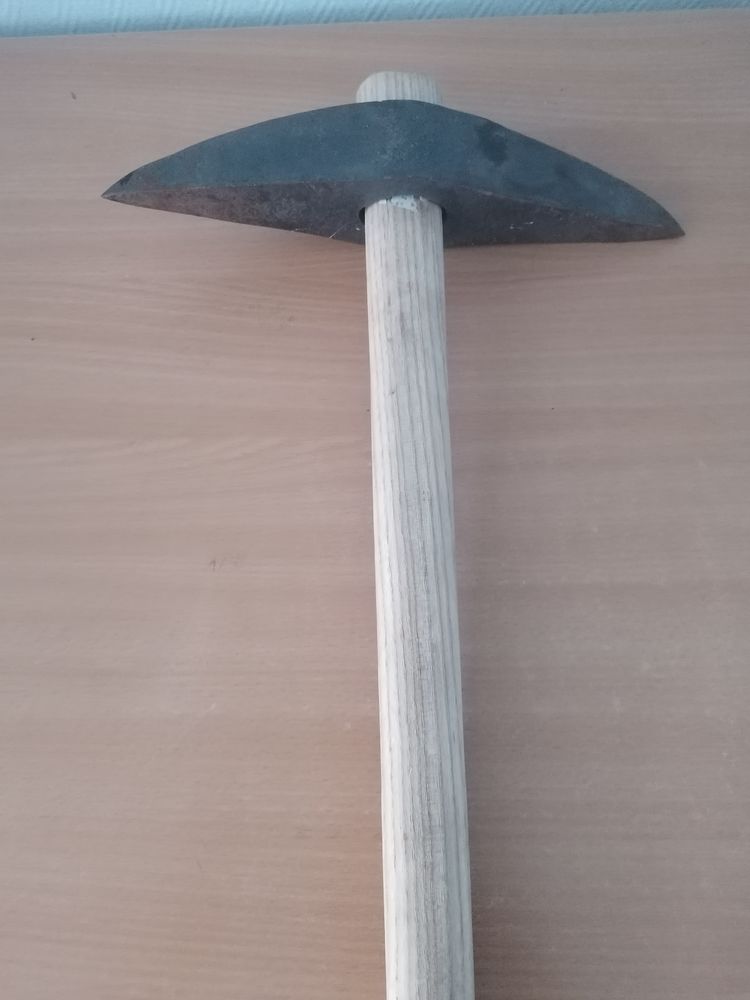 t�tu de taille de pierre 2 pics 100 Dijon (21)