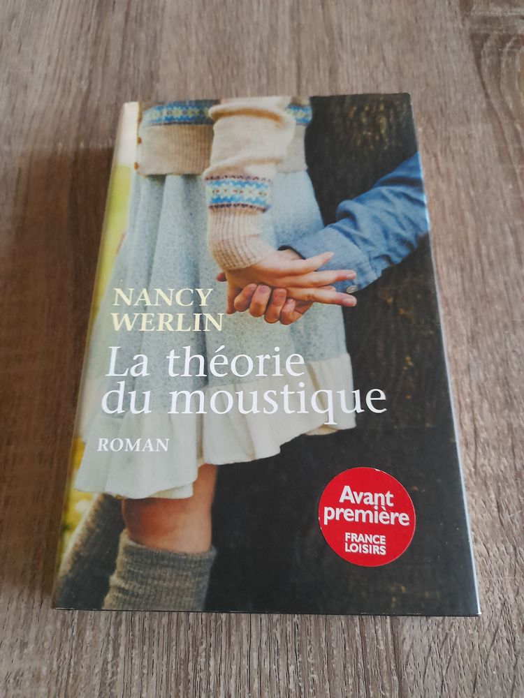 La th�orie du moustique 5 Tours (37)