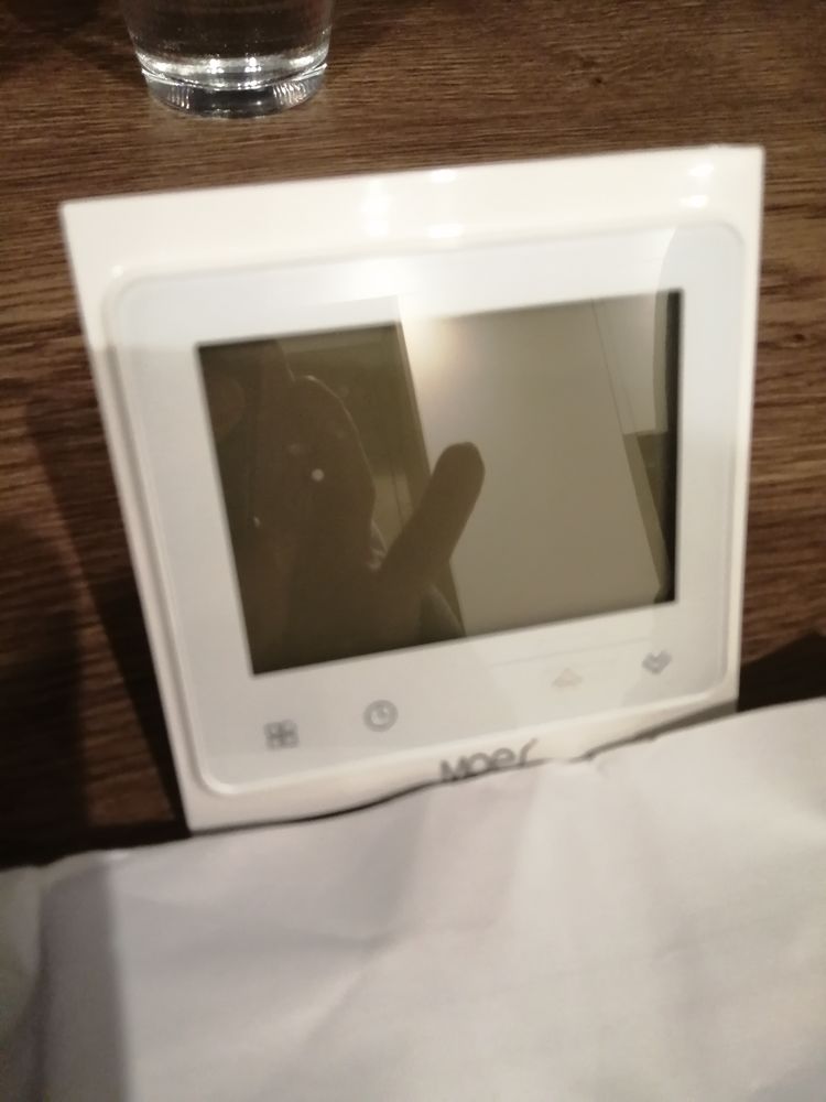 Thermostat d'ambiance filaire 30 Amb�rieu-en-Bugey (01)