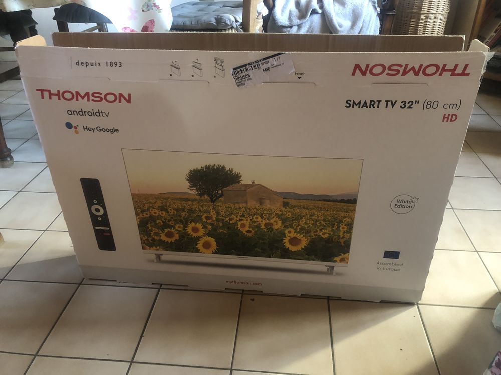  tv thomson 80 cm 100 Val-de-Reuil (27)