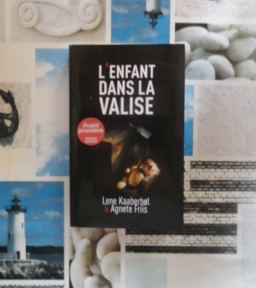 THRILLER L'ENFANT DANS LA VALISE de L. KAABERBOL et A. FRIIS 5 Bubry (56)