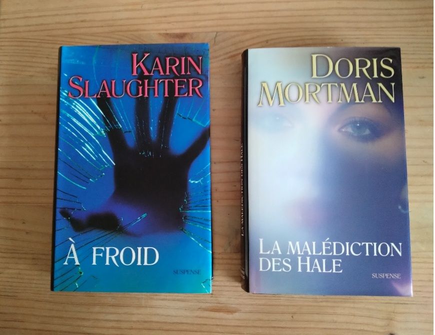 Thriller Karin Slaughter Doris Mortman 2 Angers (49)