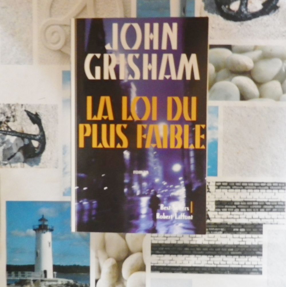 THRILLER LA LOI DU PLUS FAIBLE de John GRISHAM 5 Bubry (56)