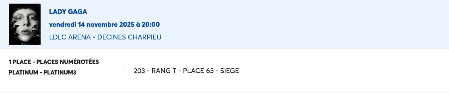 1 TICKET POUR LE CONCERT DE LAGY GAGA LE 14/11 � 20H00 1000 Juvignac (34)