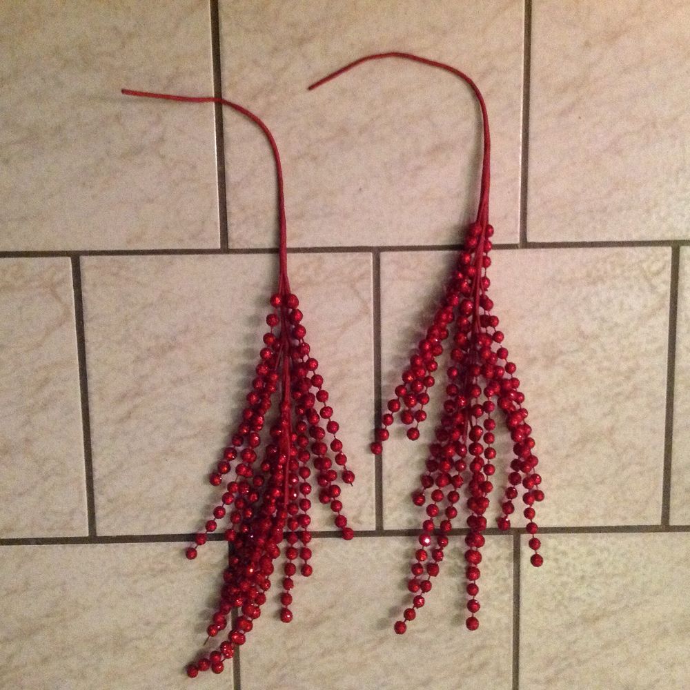 tiges de decoration 4 Gaillac (81)