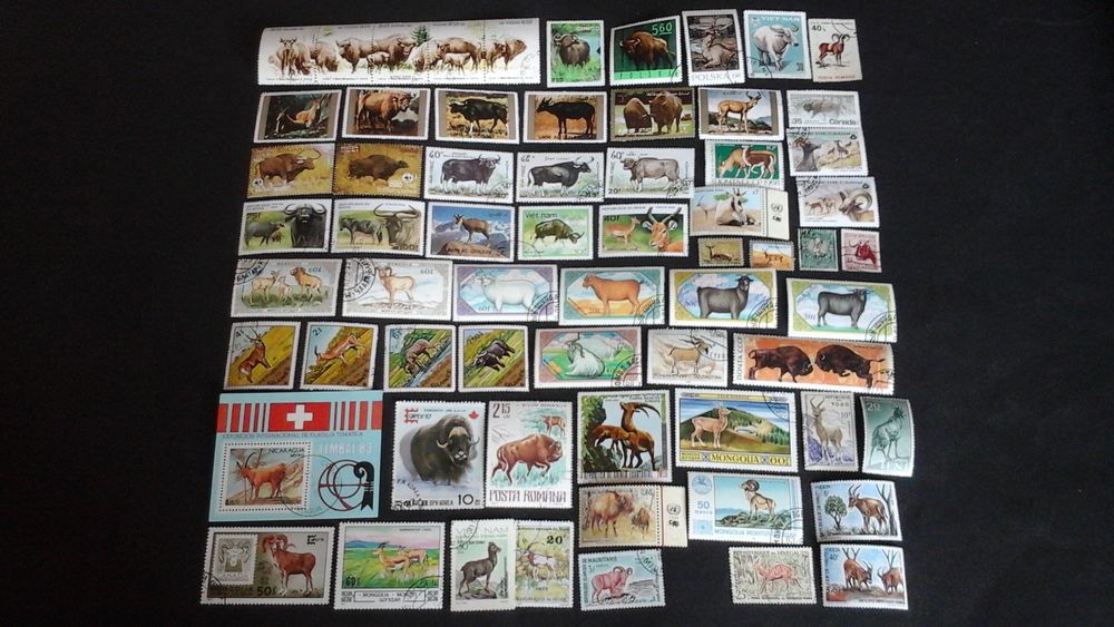 Timbres sur les animaux � cornes 4 Angers (49)