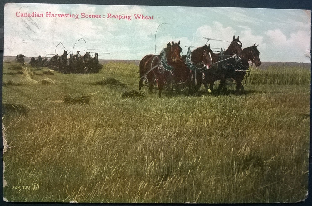 Timbres-CPA-carte postale- CANADA - Harvesting scenes - Reap 5 Lyon 4 (69)