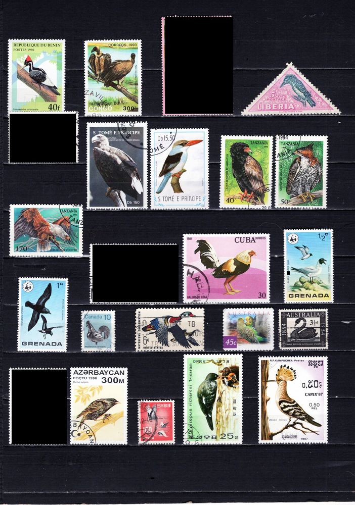 lot de 64 timbres du MONDE avec des OISEAUX 3 Les �glisottes-et-Chalaures (33)
