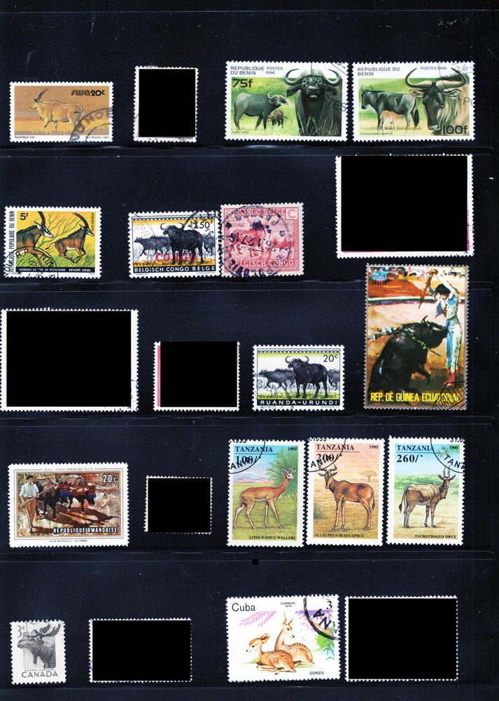 lot de 46 timbres du MONDE avec des BOVIDES et des CERVIDES 2 Les �glisottes-et-Chalaures (33)