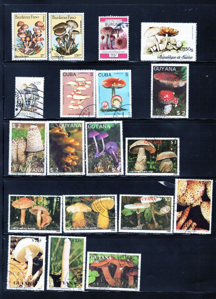 lot de 55 timbres du MONDE avec des CHAMPIGNONS 3 Les �glisottes-et-Chalaures (33)