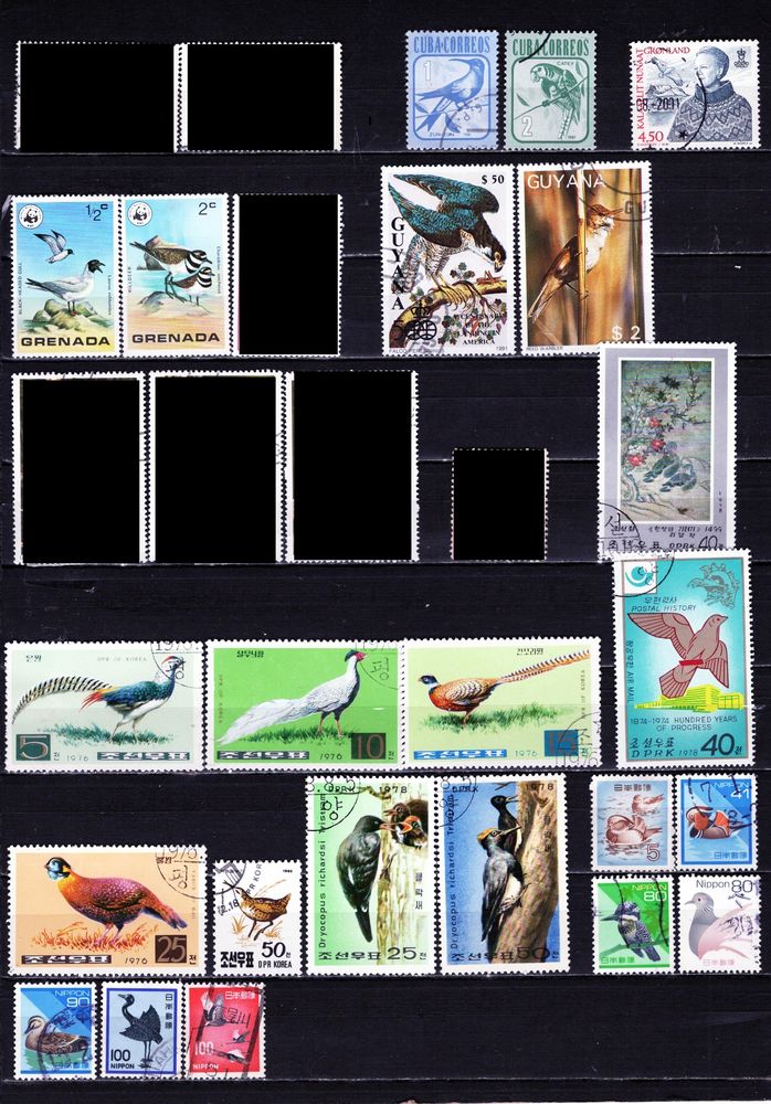 lot de 34 timbres du MONDE avec des OISEAUX 2 Les �glisottes-et-Chalaures (33)