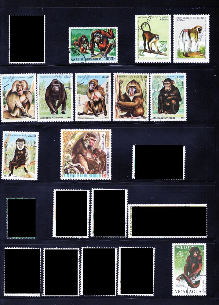 lot de 19 timbres du MONDE avec des PRIMATES 1 Les �glisottes-et-Chalaures (33)