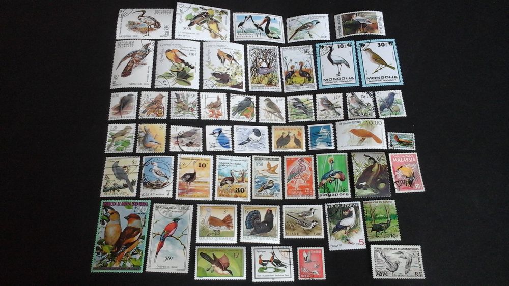 Timbres sur les oiseaux 4 Angers (49)