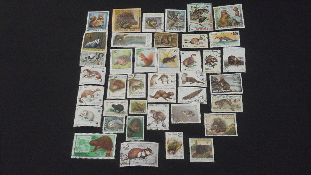 Timbres sur les petits animaux 3 Angers (49)