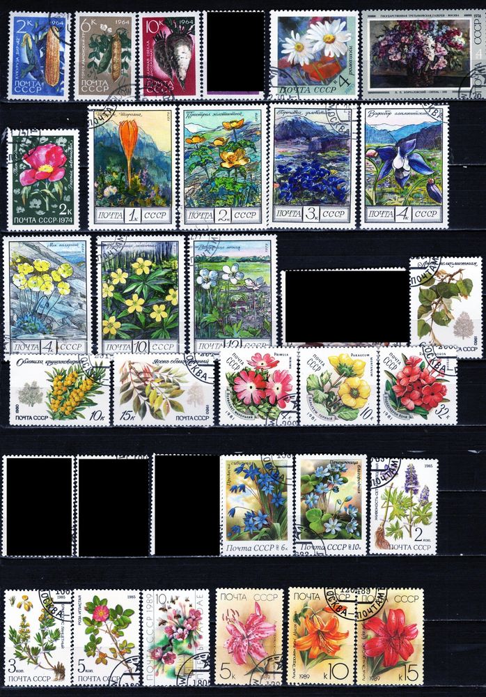 lot de 28 timbres de la RUSSIE sur la FLORE les FRUITS 1 Les �glisottes-et-Chalaures (33)