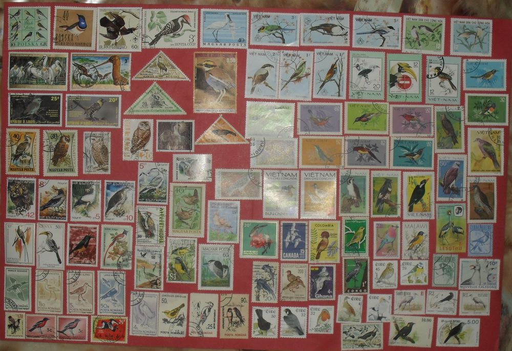 Lot de 220 timbres sur le thème des OISEAUX 30 Montreuil (93)