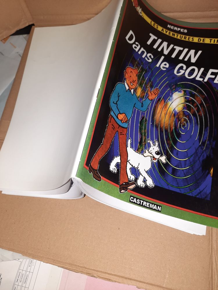 Tintin dans le golfe 23 Grand-Charmont (25)