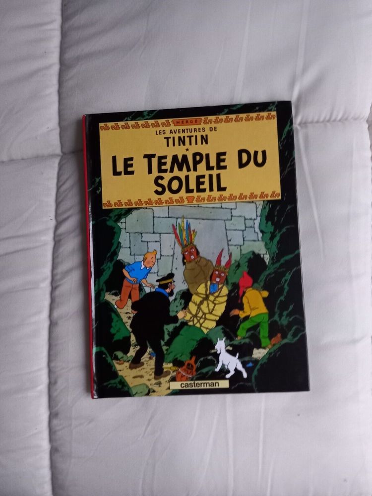 tintin et le temple du soleil 5 Saint-Bonnet-Avalouze (19)
