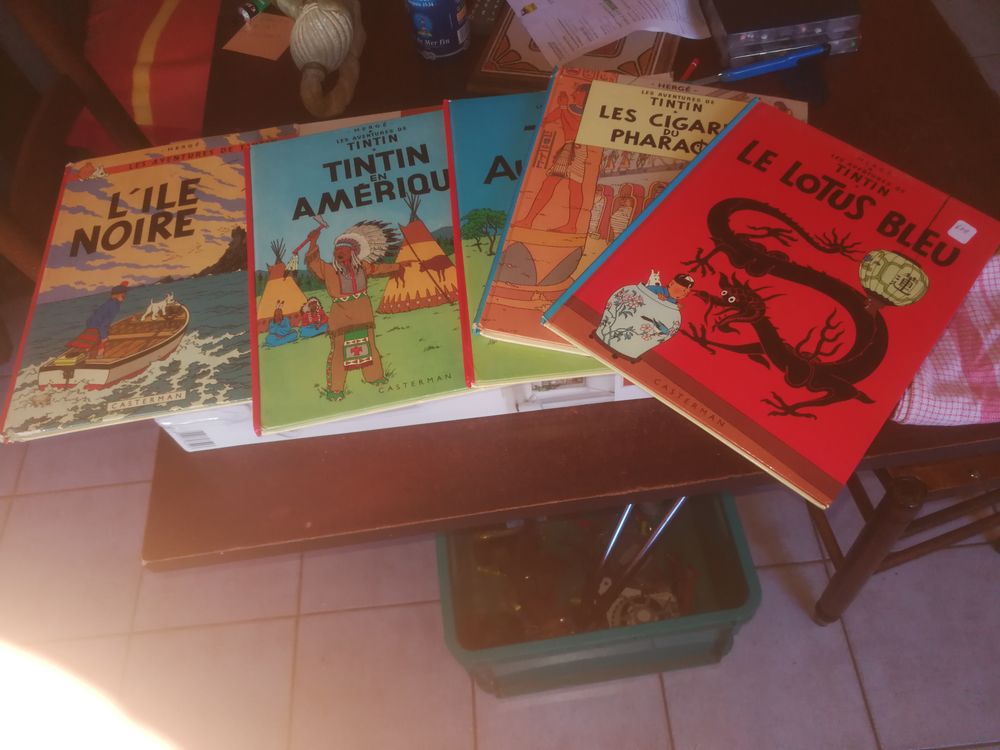 5 BD Tintin 1 Le Creusot (71)