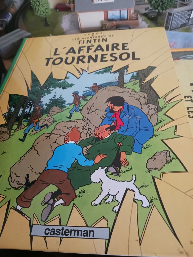 Tintin 15 Arnage (72)