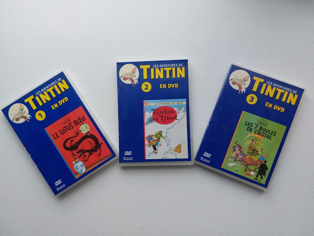 DVD TINTIN 0 Grosbreuil (85)