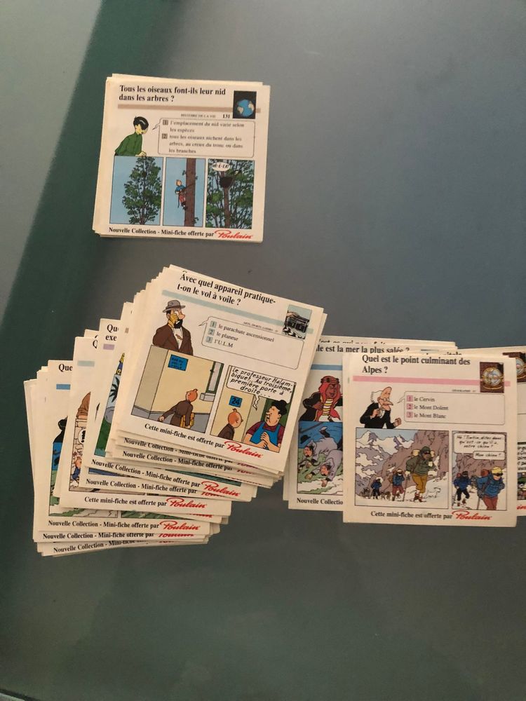 tintin 0 Montgeard (31)