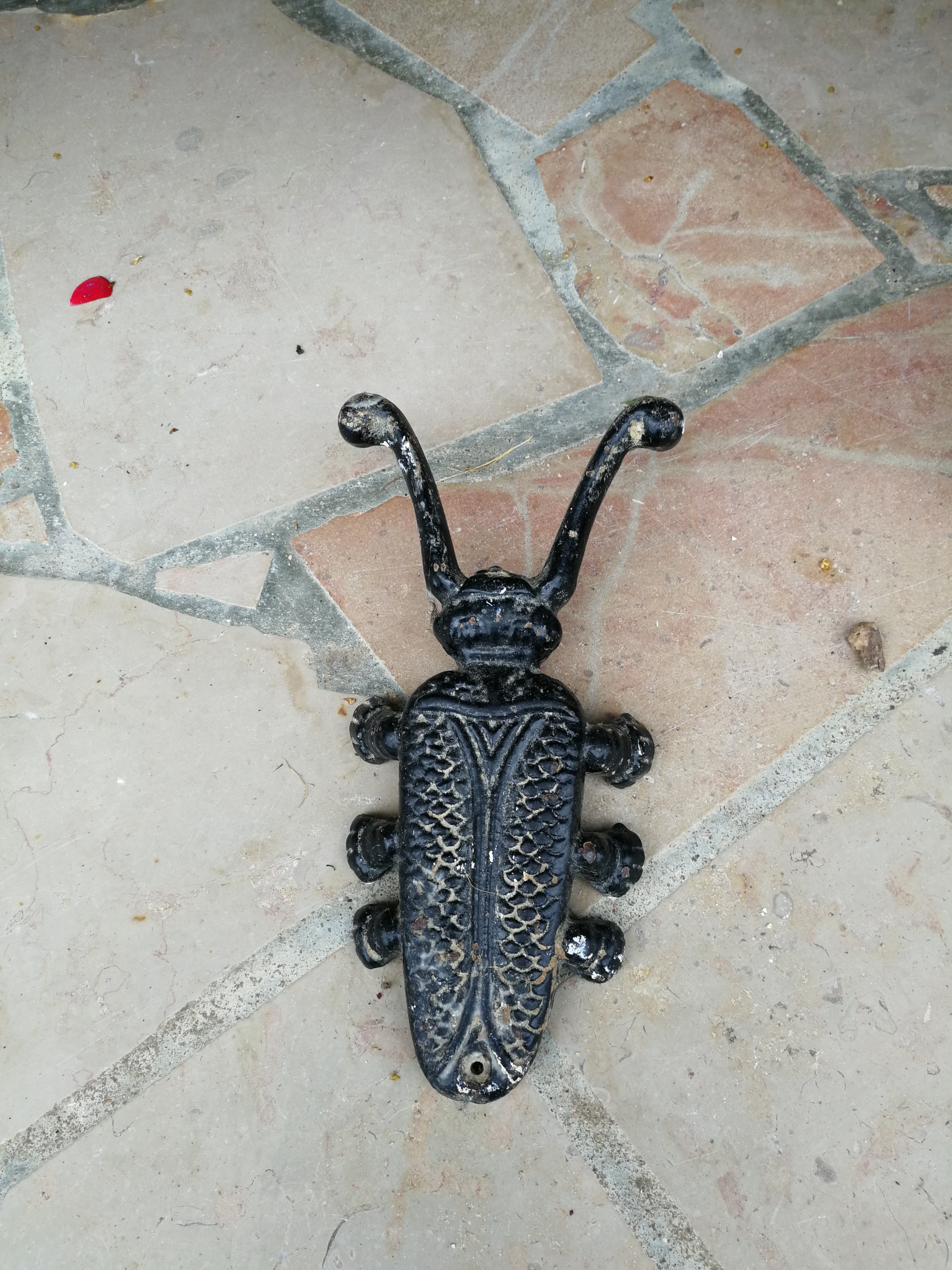 Tire-bottes EN FONTE scarab�e noir 30 Courgis (89)