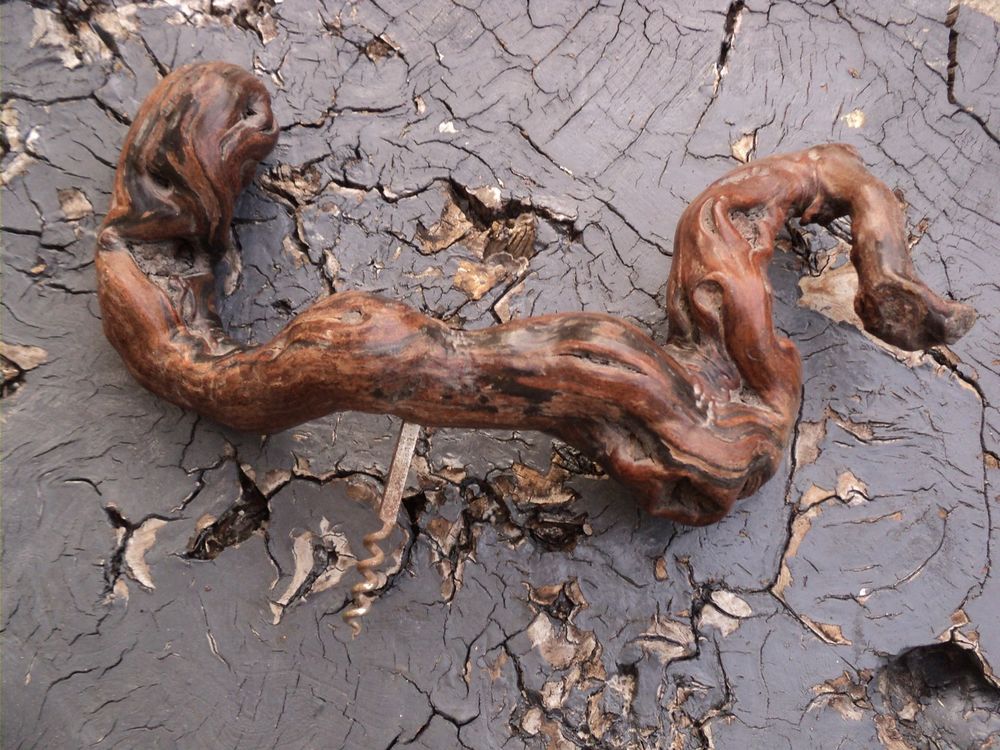 Tire-Bouchon Cep de Vigne Vigne Vin Oenologie Collection. 25 Loches (37)